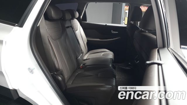 Hyundai Santa Fe (TM) Diesel 2.0 2WD Exclusive Special 2019 — фото 12
