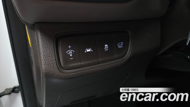 Hyundai Santa Fe (TM) Diesel 2.0 2WD Exclusive Special 2019 — фото 18