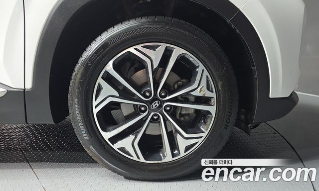 Hyundai Santa Fe (TM) Diesel 2.0 2WD Exclusive Special 2019 — фото 21