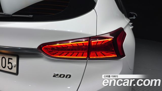 Hyundai Santa Fe (TM) Diesel 2.0 2WD Exclusive Special 2019 — фото 23