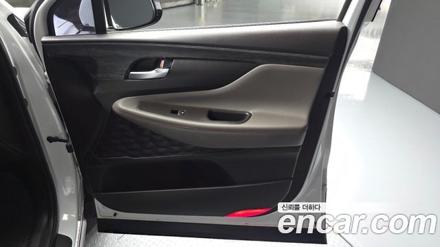 Hyundai Santa Fe (TM) Diesel 2.0 2WD Exclusive Special 2019 — фото 24
