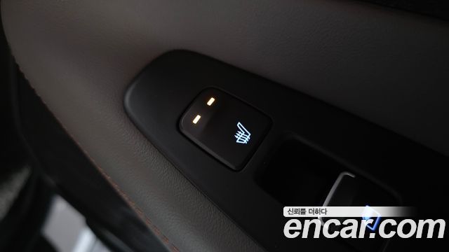 Hyundai Santa Fe (TM) Diesel 2.0 2WD Exclusive Special 2019 — фото 28