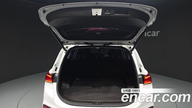 Hyundai Santa Fe (TM) Diesel 2.0 2WD Exclusive Special 2019 — фото 30