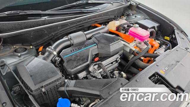 Hyundai Tucson Hybrid (NX4) HEV 1.6 2WD Inspiration 2024 — фото 6