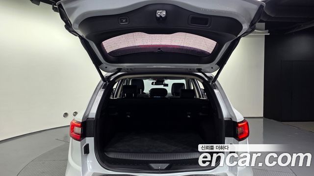 Renault Korea QM6 2.0 LPe RE Signature 2WD 2020 — фото 20