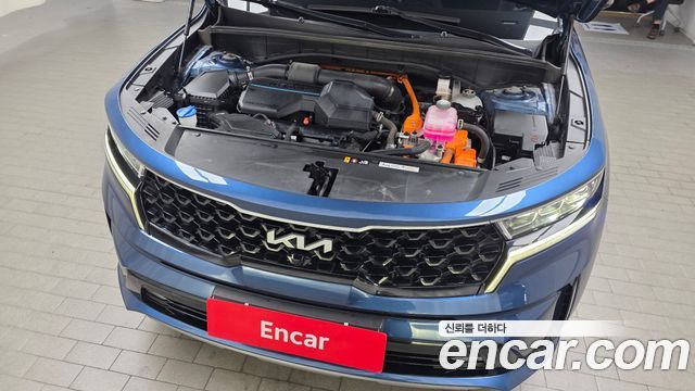 Kia Sorento (IV) HEV 1.6 2WD Noblesse 2023 — фото 6