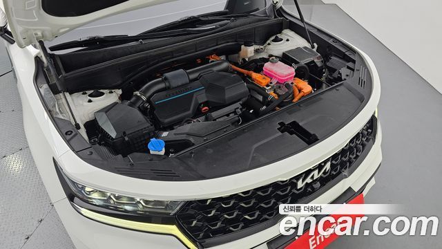 Kia Sorento (IV) HEV 1.6 2WD Noblesse 2023 — фото 6