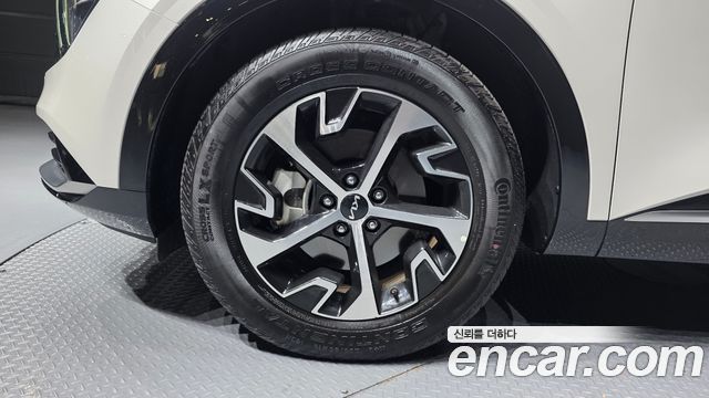 Kia Sportage Hybrid (V) Nobleless 2WD 2024 — фото 5