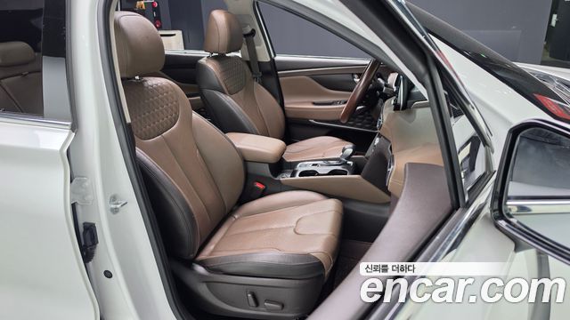Hyundai Santa Fe (TM) Diesel 2.2 4WD Prestige 2019 — фото 11