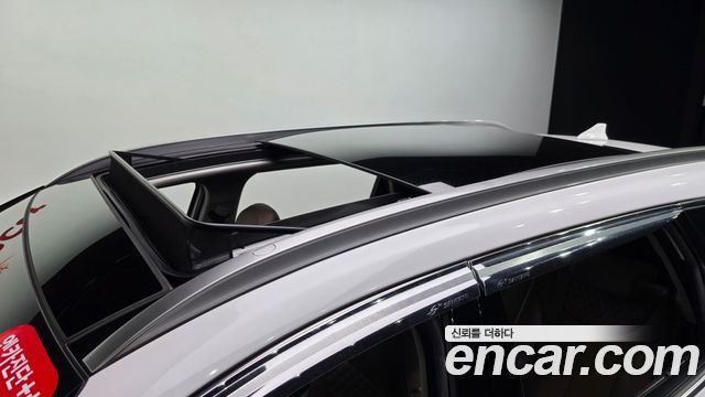 Hyundai Santa Fe (TM) Diesel 2.2 4WD Prestige 2019 — фото 19