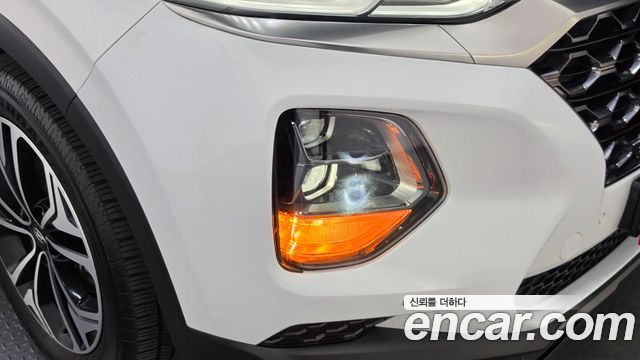 Hyundai Santa Fe (TM) Diesel 2.2 4WD Prestige 2019 — фото 22