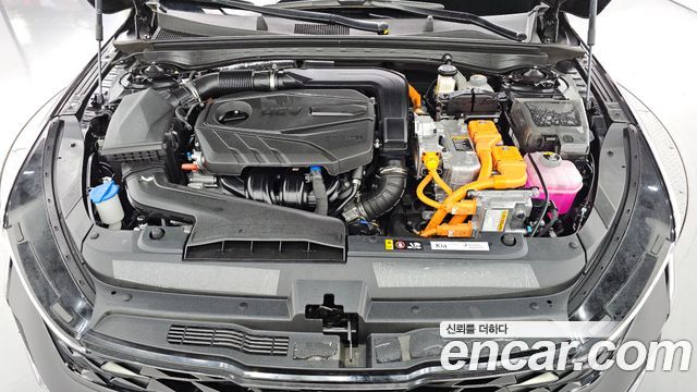Kia K5 Hybrid (III) Noblesse 2024 — фото 6
