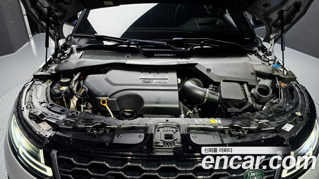 Land Rover Range Rover Evoque (II) P250 R-Dynamic SE 2021 — фото 6