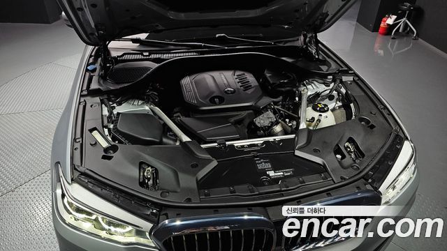 BMW 5 Series (G30) 520d xDrive Luxury Plus 2020 — фото 6