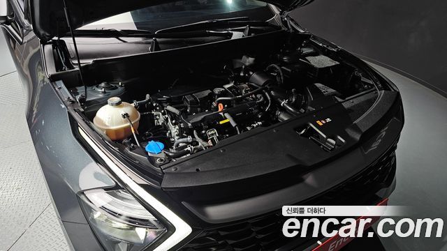Kia Sportage (V) Gasoline 1.6 Turbo 2WD Signature 2024 — фото 6