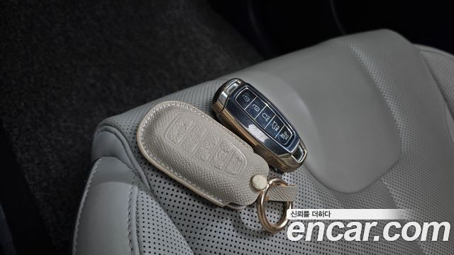 Hyundai Palisade Gasoline 3.8 4WD Prestige 2019 — фото 17