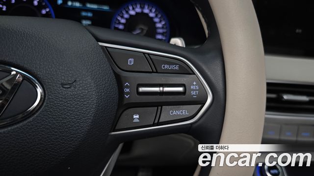 Hyundai Palisade Gasoline 3.8 4WD Prestige 2019 — фото 20