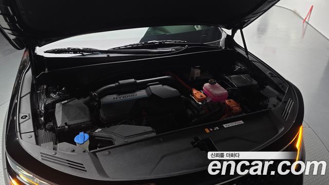 Kia Sorento (IV) HEV 1.6 2WD Noblesse 2022 — фото 6