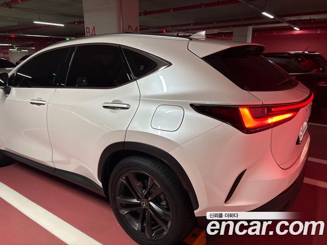 Lexus NX350h (II) Premium 2025 — фото 2