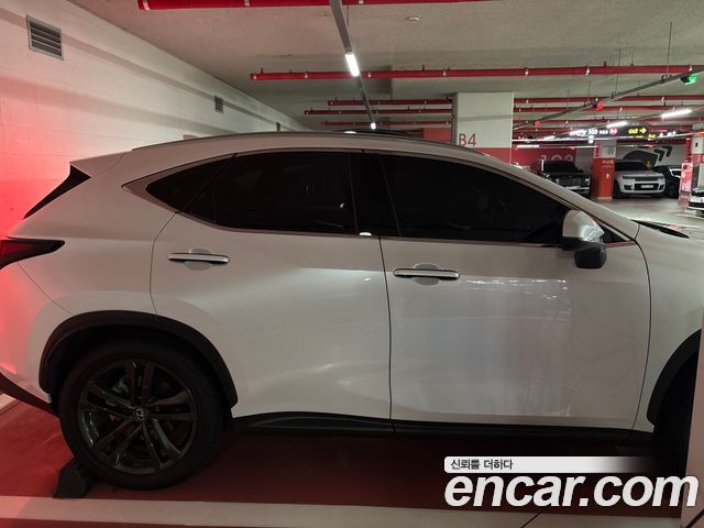 Lexus NX350h (II) Premium 2025 — фото 5