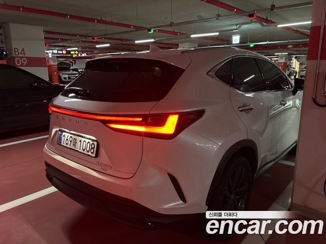 Lexus NX350h (II) Premium 2025 — фото 6