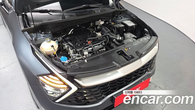 Kia Sportage (V) Gasoline 1.6 Turbo 2WD Signature 2023 — фото 6