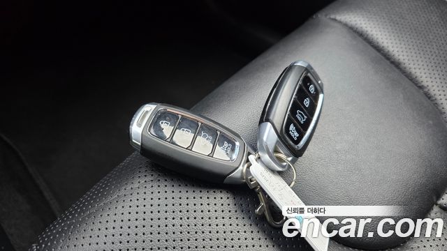 Hyundai Santa Fe (TM) Diesel 2.0 2WD Premium 2019 — фото 15