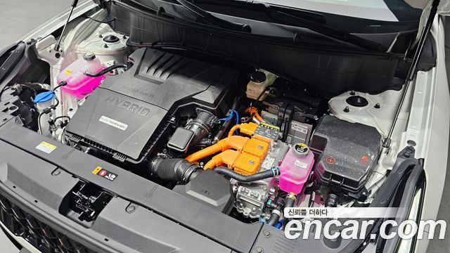 Kia Seltos (II) HEV 1.6 2WD Signature X Line 2026 — фото 6