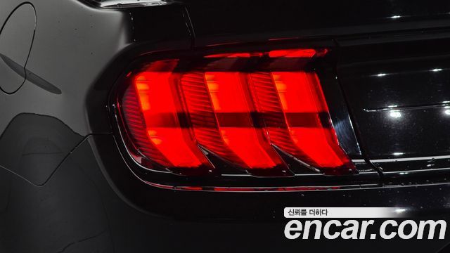 Ford Mustang Coupe 2021 — фото 23
