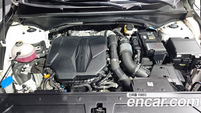 Hyundai Santa Fe Gasoline 2.5T 2WD Calligraphy 2022 — фото 6