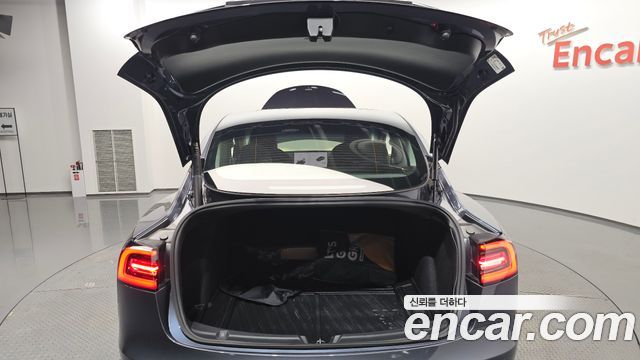 Tesla Model 3 Standard Range Plue RWD 2021 — фото 38