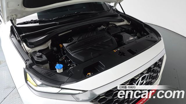 Hyundai Santa Fe (TM) Diesel 2.0 2WD Exclusive 2020 — фото 6