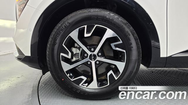 Kia Sportage Hybrid (V) Signature 2WD 2024 — фото 5