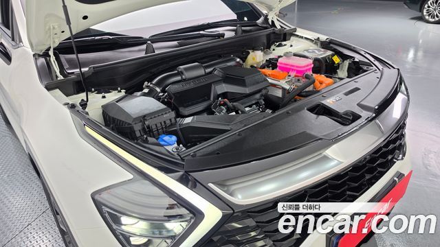 Kia Sportage Hybrid (V) Signature 2WD 2024 — фото 6