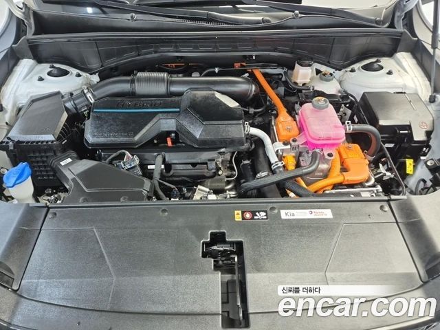 Kia Sorento (IV) HEV 1.6 2WD Gravity 2024 — фото 5