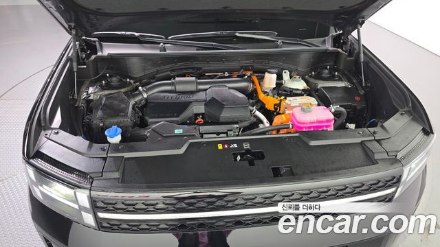 Hyundai Santa Fe (MX5) HEV 1.6 2WD Calligraphy 2025 — фото 6