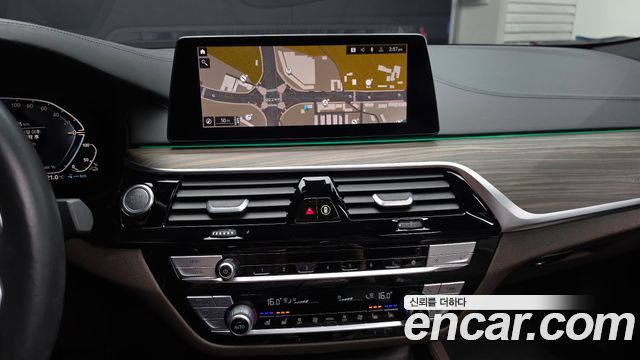 BMW 5 Series (G30) 530e M Sport 2020 — фото 13