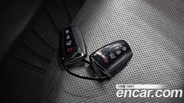 Hyundai Maxcruise Gas 3.3 4WD Exclusive 2017 — фото 17