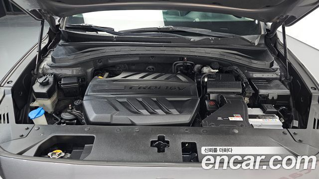 Hyundai Santa Fe (TM) Diesel 2.2 2WD Exclusive 2019 — фото 6