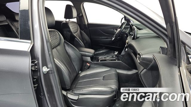 Hyundai Santa Fe (TM) Diesel 2.2 2WD Exclusive 2019 — фото 12