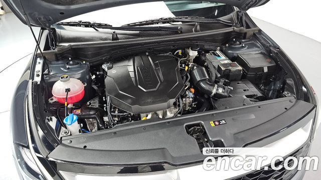 Kia Sportage (V) Diesel 2.0 4WD Nobleless 2024 — фото 6