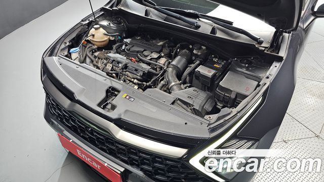 Kia Sportage (V) Gasoline 1.6 Turbo 4WD Signature Gravity 2022 — фото 6