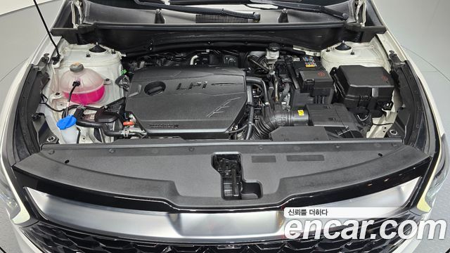 Kia Sportage (V) LPG 2.0 2WD Signature 2024 — фото 6