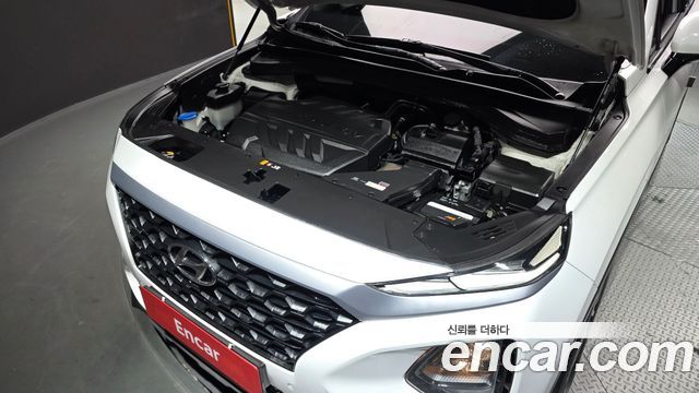 Hyundai Santa Fe (TM) Diesel 2.0 2WD Exclusive 2019 — фото 6