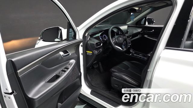 Hyundai Santa Fe (TM) Diesel 2.0 2WD Exclusive 2019 — фото 10