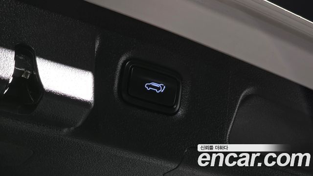 Hyundai Santa Fe (TM) Diesel 2.0 2WD Exclusive 2019 — фото 20
