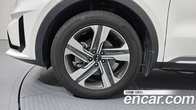 Kia Sorento (IV) HEV 1.6 2WD Noblesse 2023 — фото 5