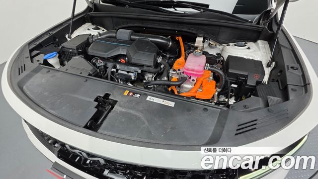 Kia Sorento (IV) HEV 1.6 2WD Noblesse 2023 — фото 6