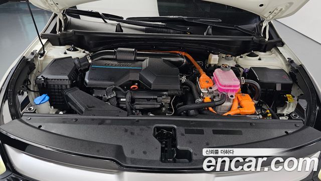 Kia Sportage Hybrid (V) Prestige 2WD 2022 — фото 6