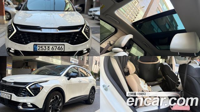 Kia Sportage (V) Diesel 2.0 2WD Signature 2022 — фото 1